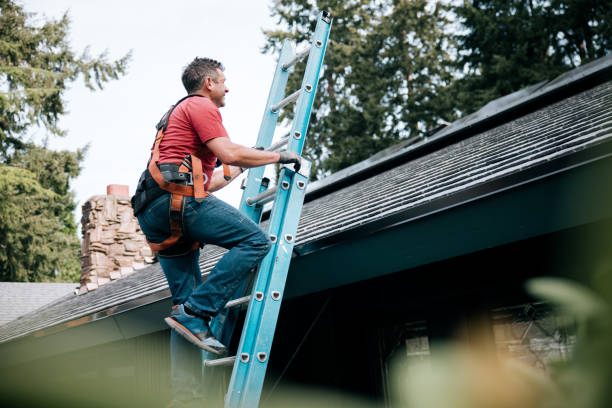 Best Steel Roofing  in Cameron, WI